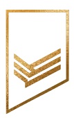Logo BFW